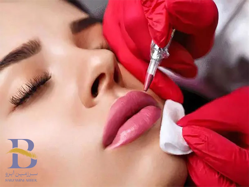 تفاوت شیدینگ لب با تینت لب